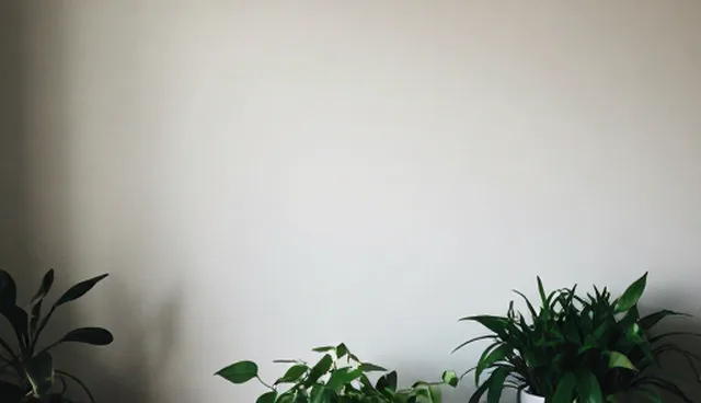 健康检查服务适用情况与限制分析